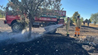 Kütahya Domaniç’te Anız Yangını Ormana Sıçramadan Söndürüldü