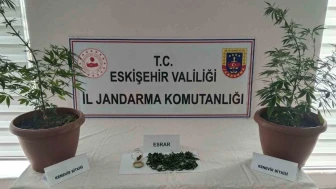 Balkondaki Saksılardan Kenevir ve Esrar Çıktı: Eskişehir’de Bir Şüpheliye Soruşturma