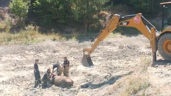 Kütahya’da Bataklığa Saplanan İnek İtfaiye Ekiplerince Kurtarıldı