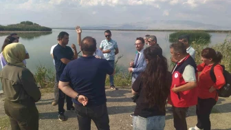 Eber ve Akşehir göllerine eylem planına yönelik çalışmalar sürüyor