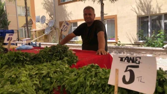 Eskişehirli Pazarcıdan Dert Yanan Satışlar: “5 Liraya Maydanoz Satıyorum, Alan Yok”