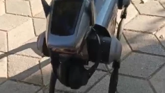 Eskişehir Sokaklarında Robot Köpek Sürprizi: Vatandaşların İlgi Odağı Oldu