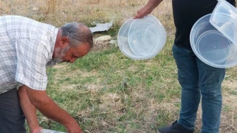 Afyonkarahisar’da Muhtardan Sokak Hayvanlarına Su Desteği