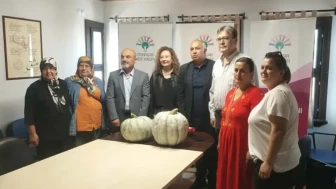 Yörükkırka’da Bal Kabağı Festivali için Geri Sayım! İşte Detaylar...