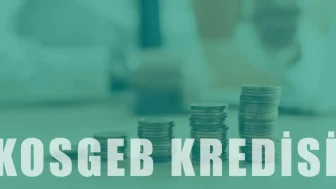 KOSGEB Kredisi Nasıl Alınır? Başvuru Adımları ve Ödeme Planı Netleşti