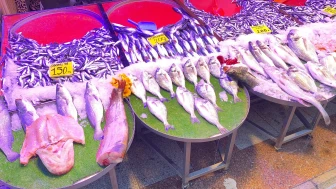 Eskişehir’de Balık Sezonu Bereketli Başladı