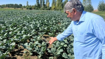 Çiftçilerin kullandığı kuyu suları 20 metreye kadar indi