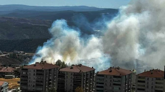 Bilecik’te salça ateşi yangına neden oldu: 30 dönüm alan kül oldu