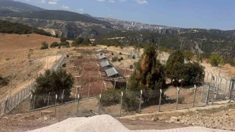 “Sokak Hayvanları Doğal Yaşam Alanı Ruhsat Sorunu Nedeniyle Devredilemedi