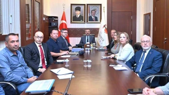 Sokak Hayvanları İçin Yeni Barınak ve Yaşam Alanları Yapılacak