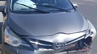 Koyuna Çarpan Otomobilde 1 Kişi Yaralandı