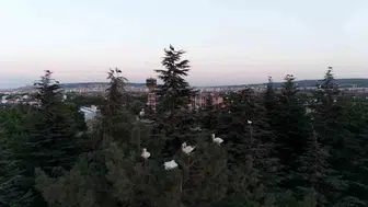 Eskişehir’de göç yolundaki leylekler havadan görüntülendi