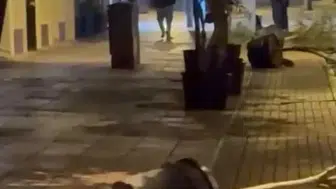 Eskişehir’de Gece Saksıları Devirerek Yürüdü