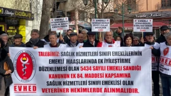 Emekli Veteriner Hekimler: “Sağlık Sınıfında Üvey Evlat Muamelesi Görüyoruz”