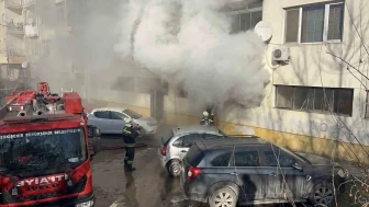 Kediler Üşümesin Diye Açılan Isıtıcı Yangına Neden Oldu