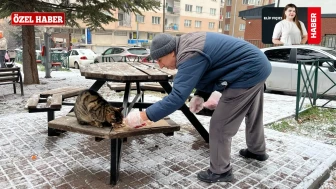 Eskişehir’de Sessiz Bir İyilik Hikâyesi: Fevzi Amca Sokak Hayvanları İçin Yollarda