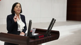 CHP Eskişehir Milletvekili Süllü: “Emekli Veteriner Hekimler Yarı Maaşa Mahkûm Edildi”