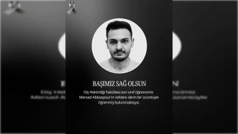 Mersad Abbaspour Neden Öldü, Kimdir, Gerçek Ölüm Sebebi Nedir?