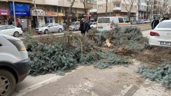 Şiddetli Fırtına Eskişehir’i Vurdu: Ağaçlar Devrildi