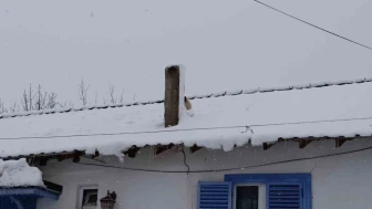 Çatıda Mahsur Kalan Yavru Köpek Böyle Kurtarıldı