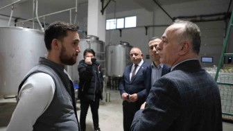 Sarıcakaya’da zeytin, kırsal kalkınmanın lokomotifi oldu