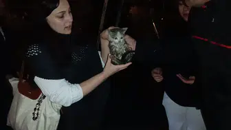 Harşit Çayı'nda ölümden dönen yavru kediye mahalleli sahip çıktı