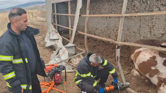 Ankara-Niğde Otoyolu'nda hayvan taşıyan tır şarampole uçtu