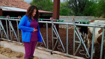 Evciler'de üretim standartlarını belirlemek için kapsamlı saha denetimi