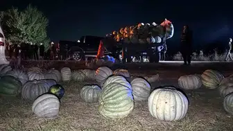 Bolu'da tarım aracı ve pikabın karıştığı zincirleme kazada dört kişi yaralandı