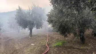 Erdek'te zeytinlik içindeki müstakil ev alevlere teslim oldu