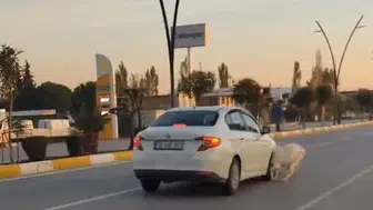 Akhisar karayolunda ani geçiş kazası: 3 keçi telef oldu