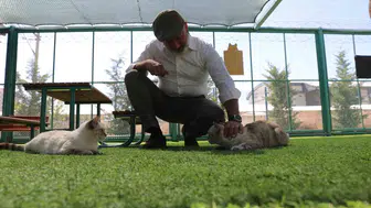 Kayseri'nin ilk kedi kasabası hayvanseverlerin yeni buluşma noktası oldu