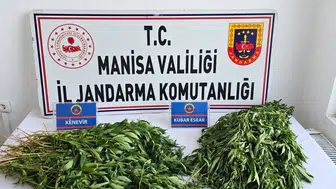 Manisa'da dört ilçeyi kapsayan uyuşturucu operasyonunda büyük vurgun