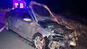 Kastamonu kara yolunda domuz sürüsü dehşeti: 2 yaralı ve 9 telef