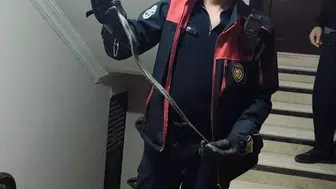 Defne'de mahalle sakinlerini tedirgin eden yılan itfaiye müdahalesiyle kurtarıldı