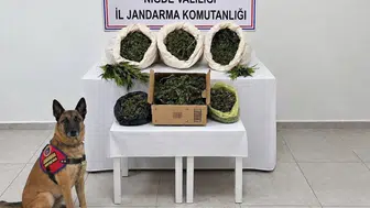 Niğde'de jandarmadan uyuşturucu operasyonu: 10 kilo madde ve kenevir ele geçirildi