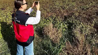 Altıntaş'ta tarımsal desteklerin doğrulanması için saha denetimleri tamamlandı