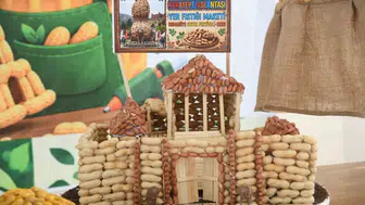 Osmaniyeli öğrenciler yer fıstığını sanatın renkleriyle yeniden yorumladı