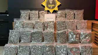 Şanlıurfa'da şehirlerarası otobüste narkotik operasyonu: 16 kilo skunk ele geçirildi