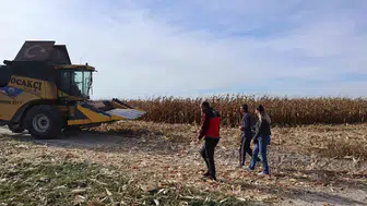 Karapınar'da mısır hasadında kayıpları önlemek için biçerdöver denetimi