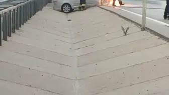 İzmir-Çanakkale yolunda korku dolu anlar: Seyir halindeki araç küle döndü