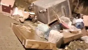 Sarıkamış sokaklarında kış uykusu öncesi ayı hareketliliği: Çöp konteynerleri mesken tutuldu