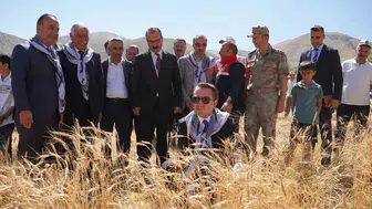 Yüksekova'da hasat coşkusu: Kaymakam Hülür tarlada çiftçilerle buluştu