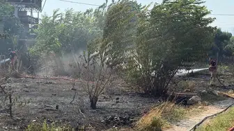 Antakya'da bahçe yangınına erken müdahale: Alevler geniş alana sıçramadan söndürüldü