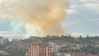 Ata Mahallesi'nde otluk alan alevlere teslim: İhbar üzerine ekipler seferber oldu