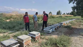 Antakya'da Bal Hasadı Sürüyor: Müdür Türkmen Üreticiyi Yalnız Bırakmadı