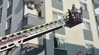 İskenderun'da böcek paniği: İntihar sanılan olay itfaiye müdahalesiyle son buldu