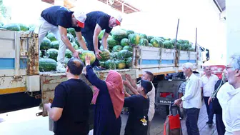 Denizli'de çiftçinin tarlada kalan ürünü Büyükşehir ile sofralara taşınıyor