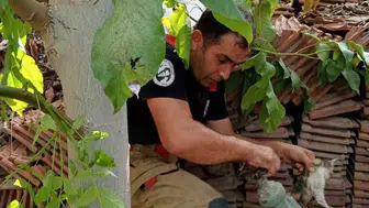 İskenderun'da boru hattına sıkışan yavru kedi için seferberlik