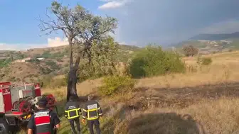 Gerede'de yıldırımın vurduğu ağaç otluk alanda yangın başlattı